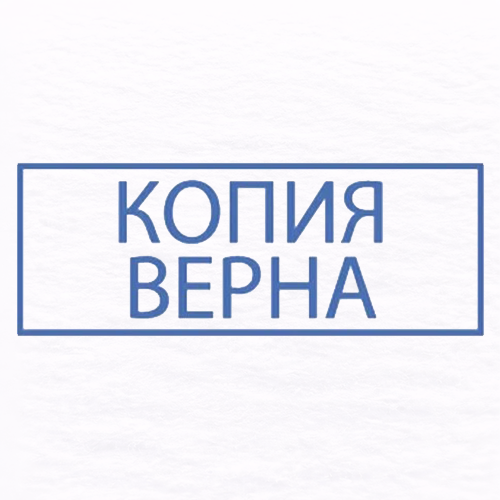 Копия верна